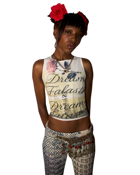 dream falastin