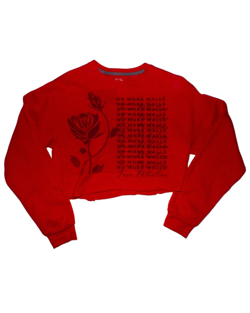 "no more walls" rose