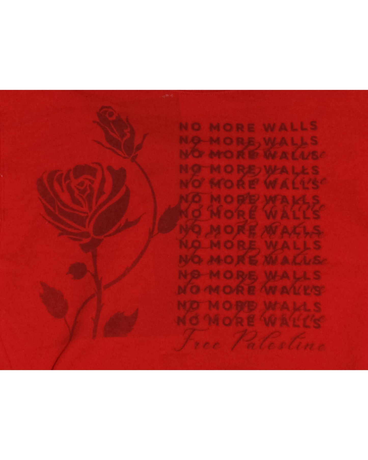 "no more walls" rose